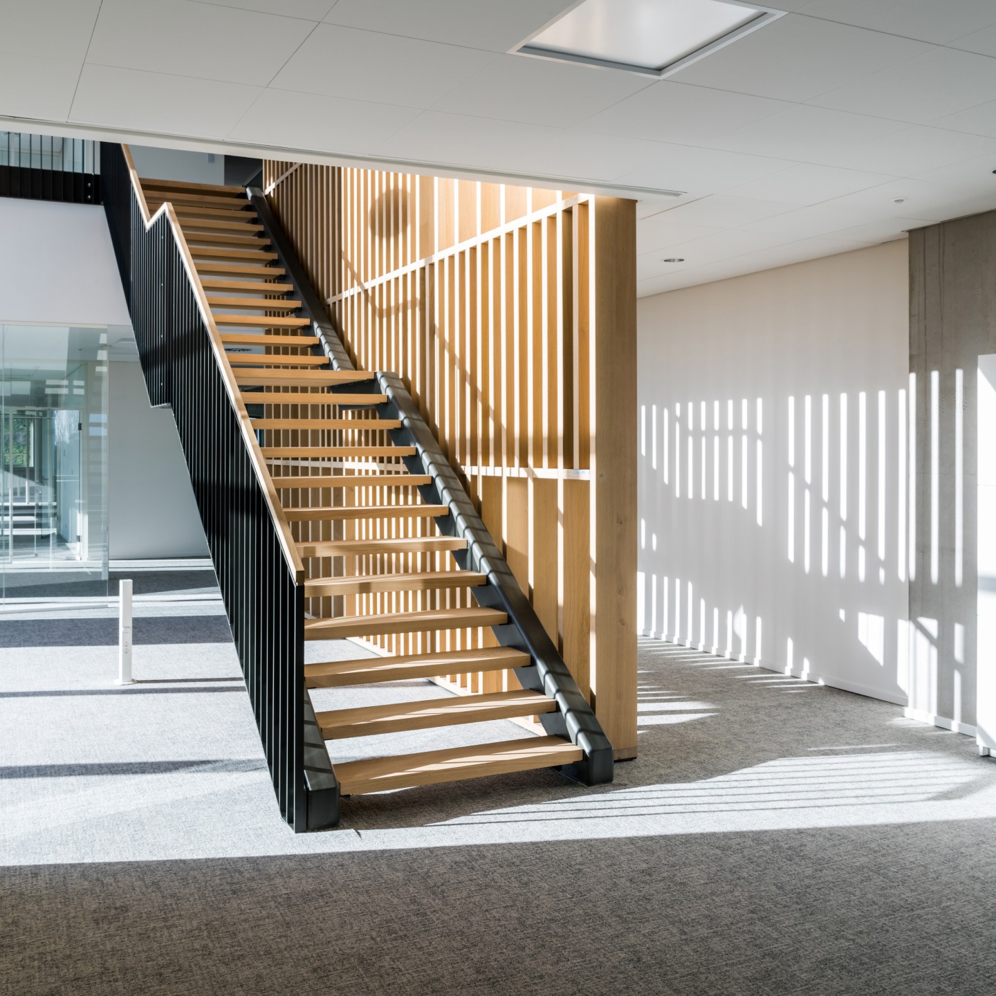 trendholz-treppen-regensburg-03